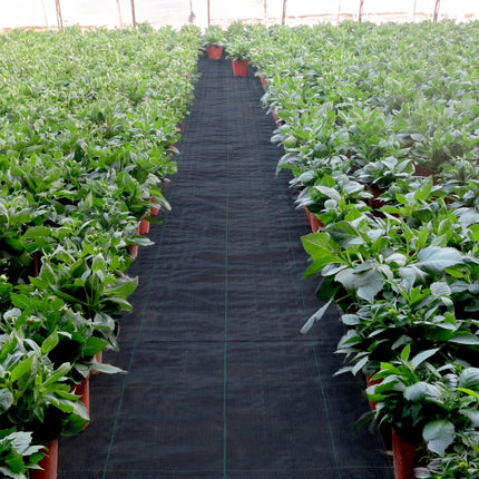 VEVOR Onkruidbestrijding 5.8oz tuinfleece 3x30ft afdekmat zware geweven grasbestrijding geotextiel onkruidstof onkruidwikkel onkruidwikkel voor tuinpatio zwart
