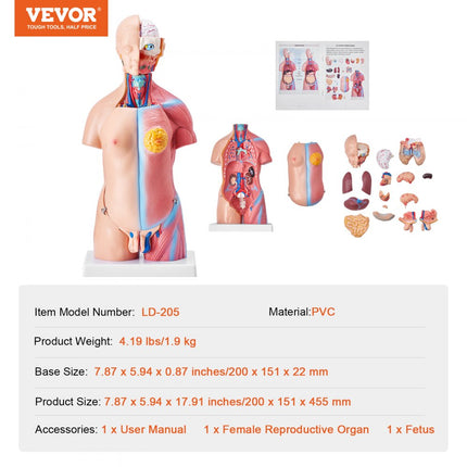 VEVOR Menselijk lichaamsmodel, 23 stuks 455 mm, menselijk torso-anatomiemodel, unisex anatomisch skeletmodel met verwijderbare organen, educatief leermiddel voor studenten, onderwijsdemonstratie