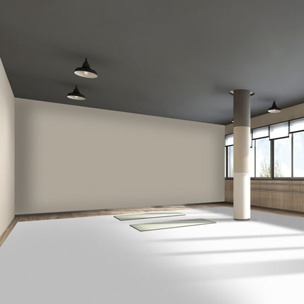 VEVOR PVC Vloeren 1,5 mm Dikte Tapijt Vloeren PVC 2 m x 7 m PVC Vloerbedekking Gemaakt van PVC-vinyl Perfect voor Gebruik in Reisgezelschappen Professionele Dansstudio's Thuisstudio's en Sportscholen