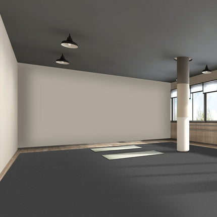 VEVOR PVC Vloeren 2 m x 1,2 m Tapijt Vloeren PVC 5,2 kg PVC Vloerbedekking Gemaakt van PVC-vinyl Perfect voor Gebruik in Reisgezelschappen Professionele Dansstudio's Thuisstudio's en Sportscholen enz