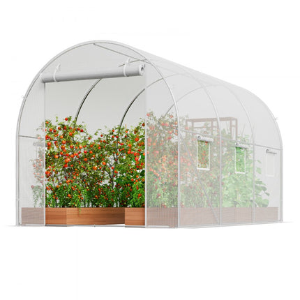 VEVOR kas tunnelkas koudframe tomatenhuis 292x196x190cm wit