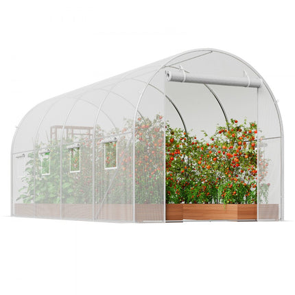 VEVOR kas tunnelkas koudframe tomatenhuis 445x194x192cm wit