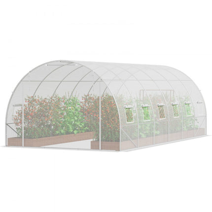 VEVOR kas tunnelkas koudframe tomatenhuis PE 590x295x198cm wit