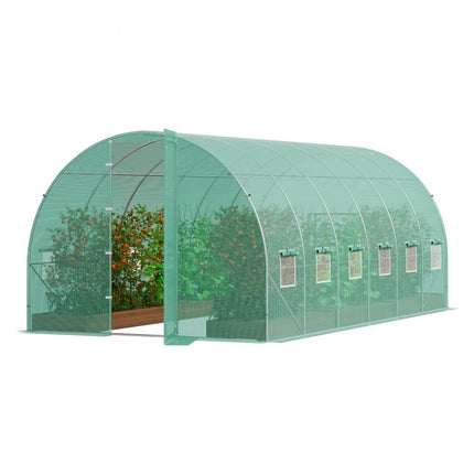 VEVOR kas tunnelkas koudframe tomatenhuis 590x295x225cm groen