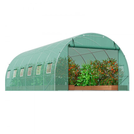 VEVOR kas tunnelkas koudframe tomatenhuis 590x295x198cm groen