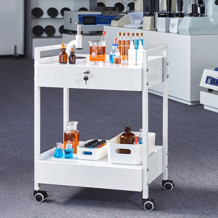 VEVOR laboratoriumwagen, 2-laags universele wagen van roestvrij staal, medicijnwagen met 2 laden, rollende laboratoriumwagen, witte serveerwagen met zwenkwielen voor laboratorium, ziekenhuis, tandartspraktijk, salon, enz.