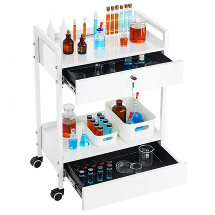 VEVOR laboratoriumwagen, 2-laags universele wagen van roestvrij staal, medicijnwagen met 2 laden, rollende laboratoriumwagen, witte serveerwagen met zwenkwielen voor laboratorium, ziekenhuis, tandartspraktijk, salon, enz.