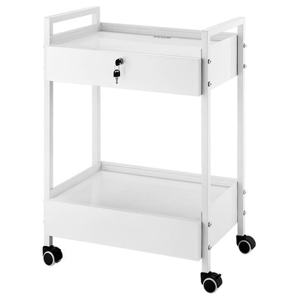 VEVOR laboratoriumwagen, 2-laags universele wagen van roestvrij staal, medicijnwagen met 2 laden, rollende laboratoriumwagen, witte serveerwagen met zwenkwielen voor laboratorium, ziekenhuis, tandartspraktijk, salon, enz.