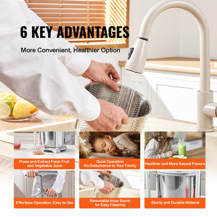 VEVOR 6 L fruitpers appelpers fruitpers pureepers, bessenpers 18 x 15 cm appelpers handmatige fruitpers fruitpers mechanische RVS pers geschikt voor sap fruitpuree etc.