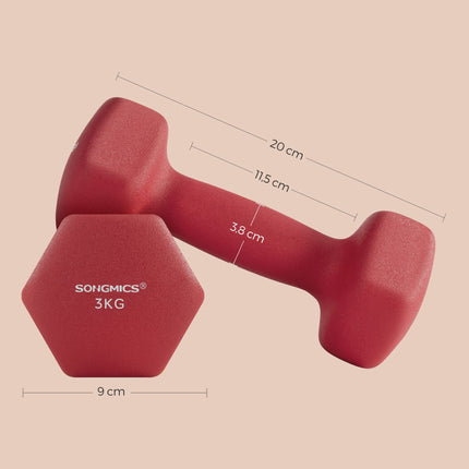 SONGMICS 2 Piece Set Dumbbells Dumbbells Gym Dumbbells Vinyl