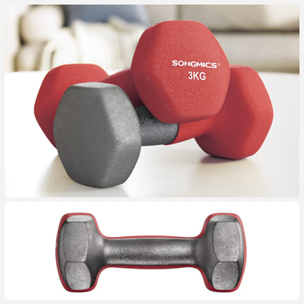 SONGMICS 2 Piece Set Dumbbells Dumbbells Gym Dumbbells Vinyl