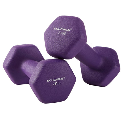SONGMICS 2 Piece Set Dumbbells Dumbbells Gym Dumbbells Vinyl